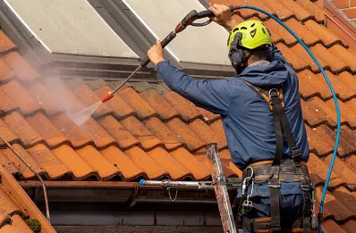Démoussage et hydrofuge de toiture à Vielle-Louron